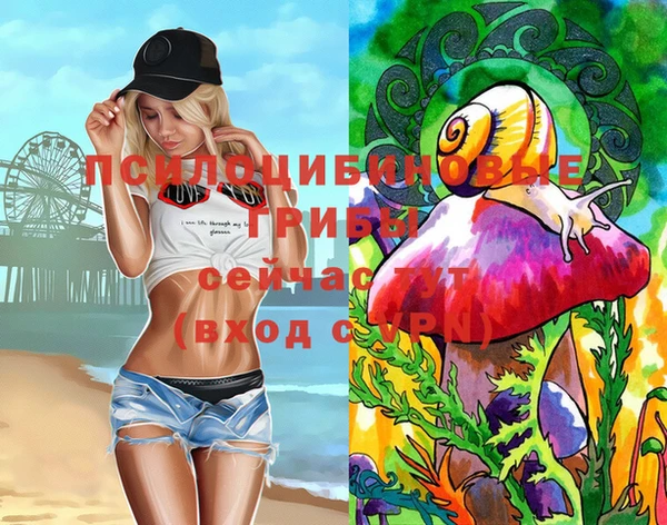 ALPHA PVP Алексин